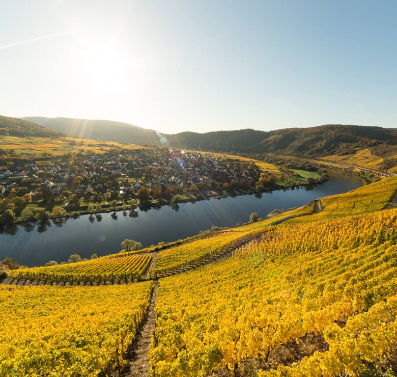 Ferienhaus Zell Mosel